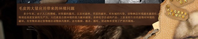 哈爾濱森林博物館展廳觸摸屏軟件查詢系統